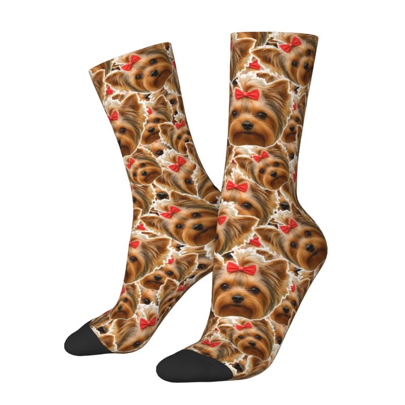 ถุงเท้าลายสัตว์เลี้ยงน่ารักสำห - Dress Sock Men บทวิจารณ์และราคา